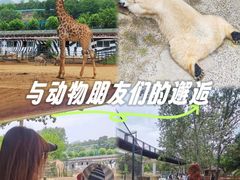 -大连森林动物园