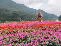 -广州市石门国家森林公园