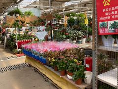 -秦美花卉(天朗·莱茵小城2期店)