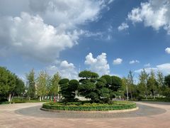 -金银湖国家城市湿地公园