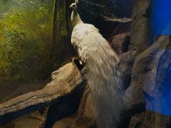 -多彩贵州城极地海洋世界