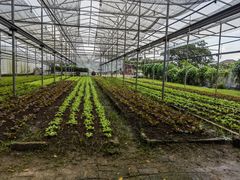 -Ohkajhu Organic Farm Sansai