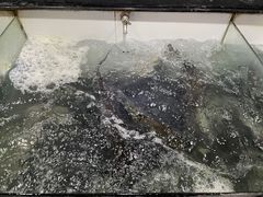 -巴乡石锅鱼(密云店)