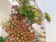 -森野花艺培训·企业团建活动沙龙