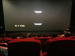 -万达影城(江桥万达广场IMAX店)