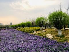 -汉长安城未央宫国家考古遗址公园