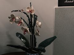 -Again Coffee Roaster(香蜜湖店)