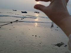 -贝壳沙滩