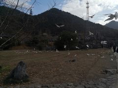-千岛湖石林