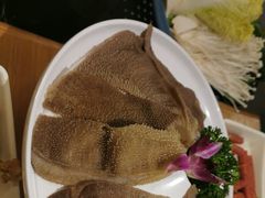 -肚社毛肚火锅