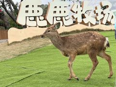 -盈香心动乐园