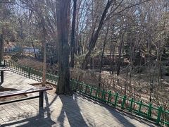 -青藏高原野生动物园