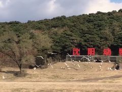 -沈阳森林动物园