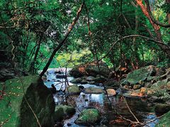 -梧桐山风景名胜区