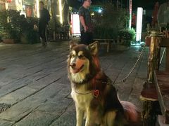 -故事小酒馆