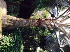 iphone_upload_pic-厦门日月谷温泉渡假村