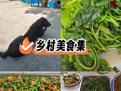 -金水泊山庄·花椒鸡(铁山坪店)