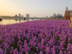 -顺峰山公园