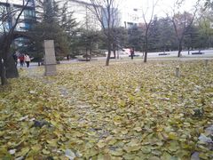 -北京航空航天大学-图书馆