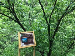 -北京上方山国家森林公园