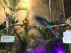 -杭州开元森泊度假乐园