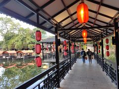 -侨美·唐荔园·40年地道粤菜