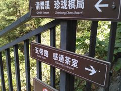 -苍山感通索道