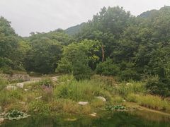 -青峰峡国家森林公园