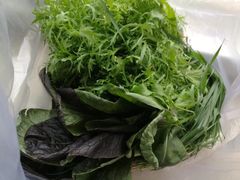 -兴芮温泉度假区