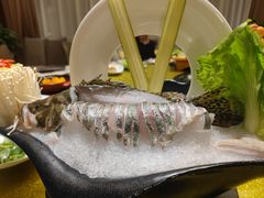 -曙光国际大酒店中餐厅