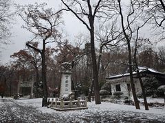-灵谷景区