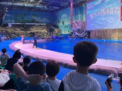 -华夏文旅西安度假区