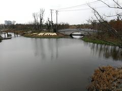 -上海长兴岛郊野公园