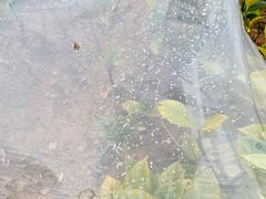 -神光山国家森林公园