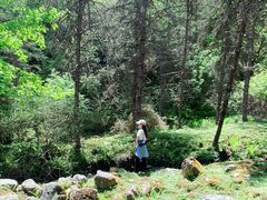 -硗碛藏寨·神木垒景区