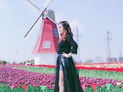 -菊园百果园