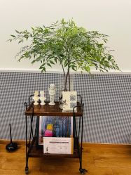 -Fancy梵汐·轻奢量肤定制