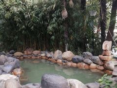 -张家港金凤凰度假村温泉