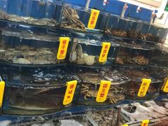 -渔中舟海鲜大排档(普陀沈家门店)