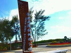 android_upload_pic-宝安西湾红树林湿地公园