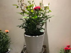 -苏州独墅湖书香世家酒店