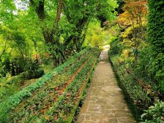 -南山植物园