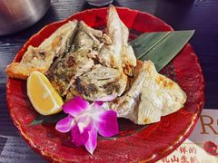 -古田居·特色寿司料理(星之岛旗舰店)