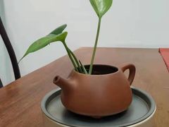 -秦汉胡同国学书院(天溢分馆)