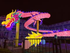 -锦江乐园舞狸花花游园会(夜场专享)