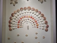 -青岛贝壳博物馆