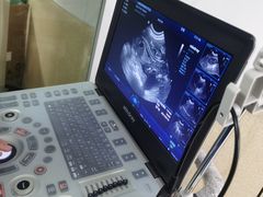 -爱侣宠医·鹦鹉专科·小型哺乳类·异宠专科(灵石路店)