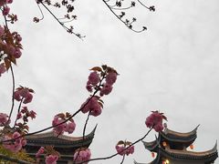 -无锡融创乐园