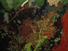 -金泽21世纪美术馆