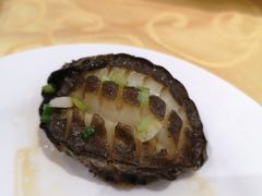 葱油鲍鱼-海岛渔村大酒店(云霄路店)